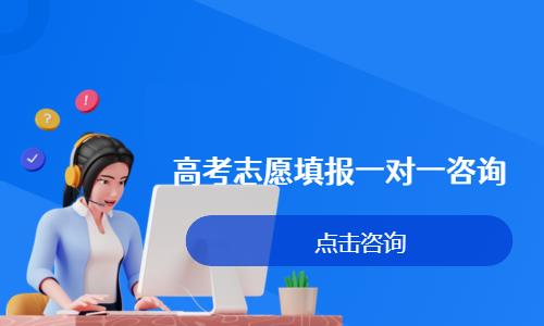 高考志愿填报一对一咨询