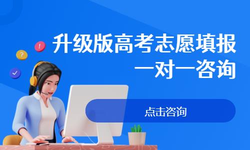 升级版高考志愿填报一对一咨询