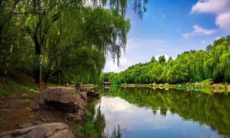 校区环境