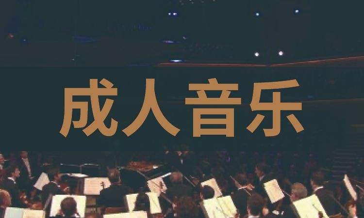 成人音乐