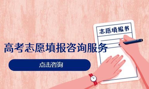高考志愿填报咨询服务