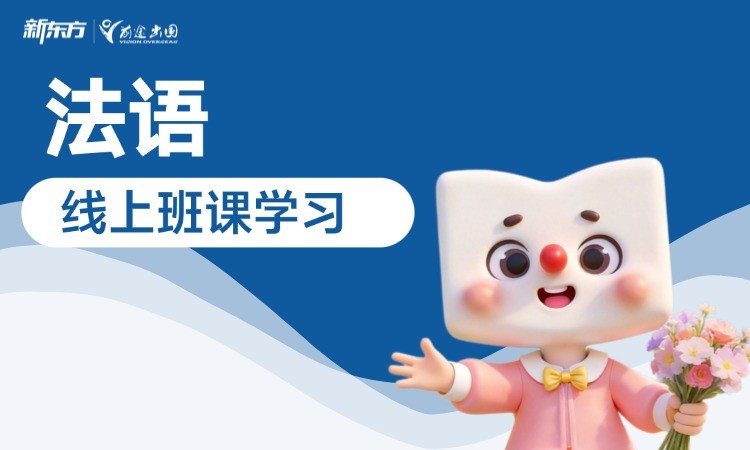 法语线上班课学习