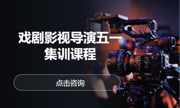 戏剧影视导演五一集训课程