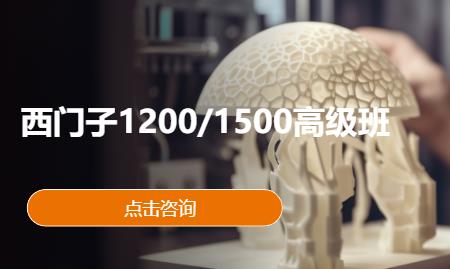 西门子1200/1500高级班