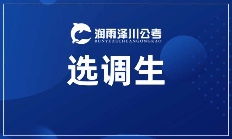 选调生上岸营