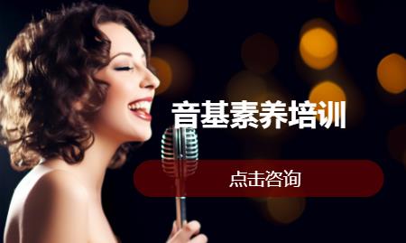 音基素养培训