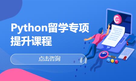 Python留学专项提升课程