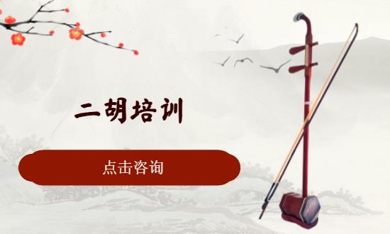合肥****学校（未认证机构）