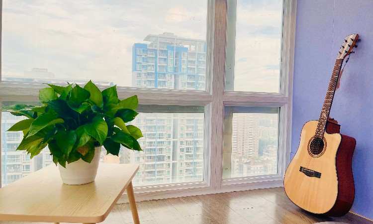 校区环境