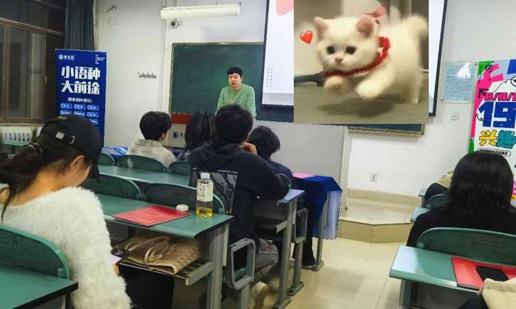 活动照片
