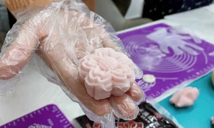 活动照片