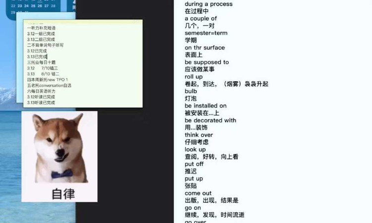 服务过程