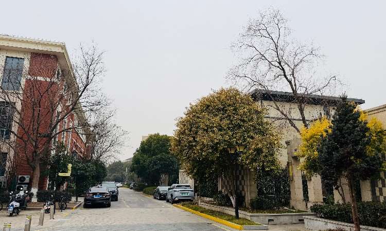 校区环境
