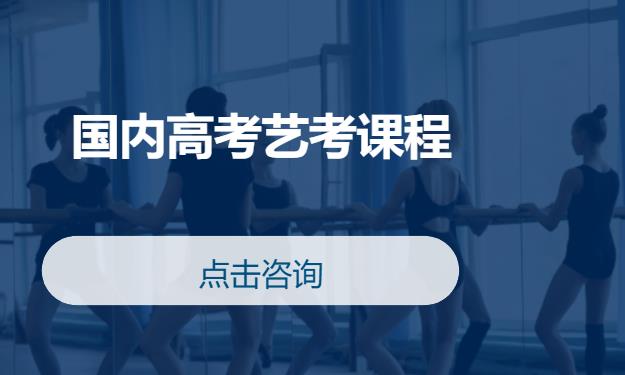 国内高考艺考课程