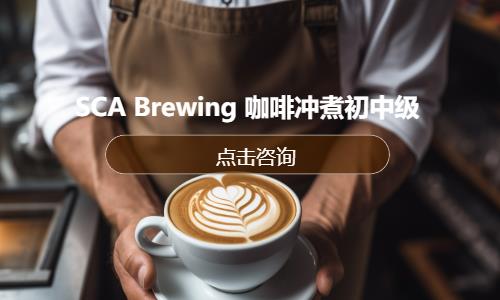 SCA Brewing 咖啡冲煮初中级