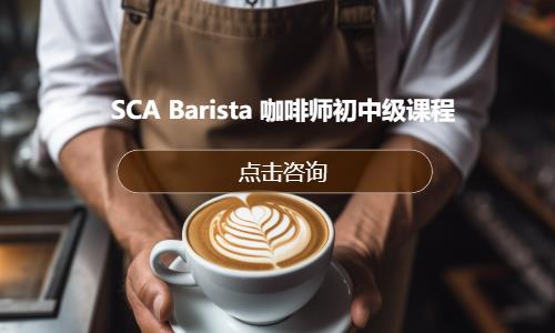 SCA Barista 咖啡师初中级课程