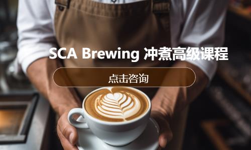 SCA Brewing 冲煮高级课程
