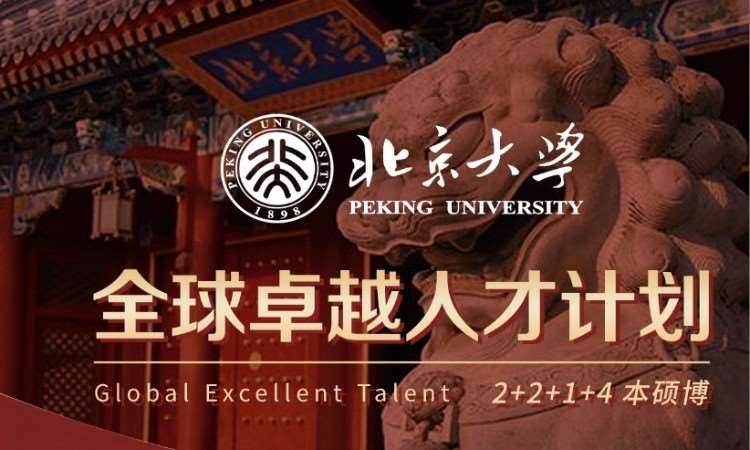 北京大学2+2