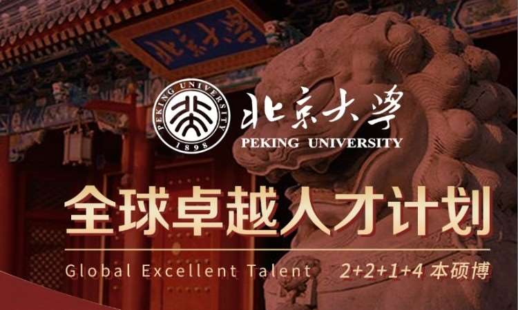 北大全球卓越人才 2+2+1+4 本硕博