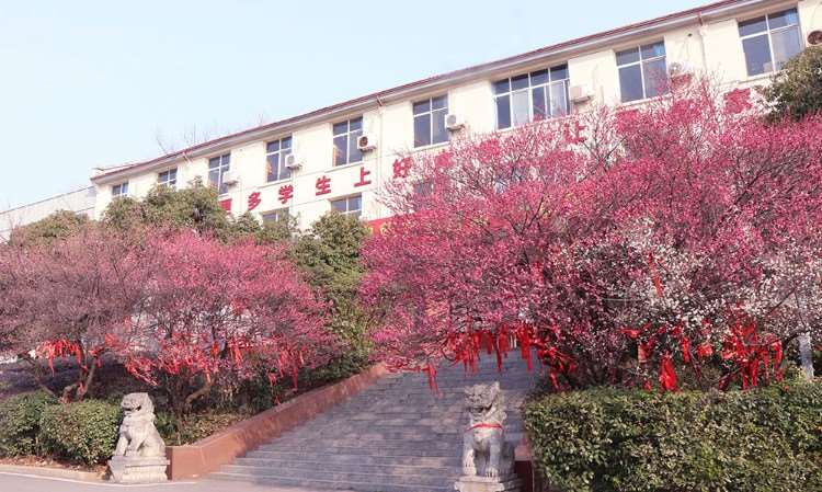 校园环境