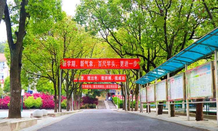 校园