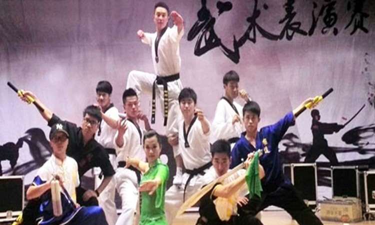 武术表演