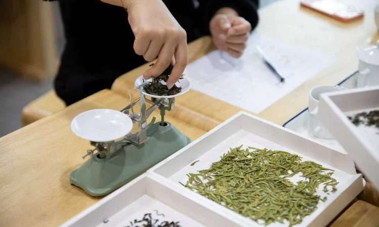 活动照片