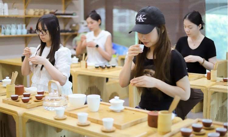 活动照片