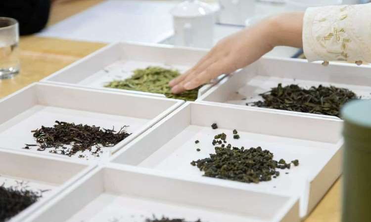 活动照片