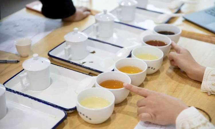 活动照片
