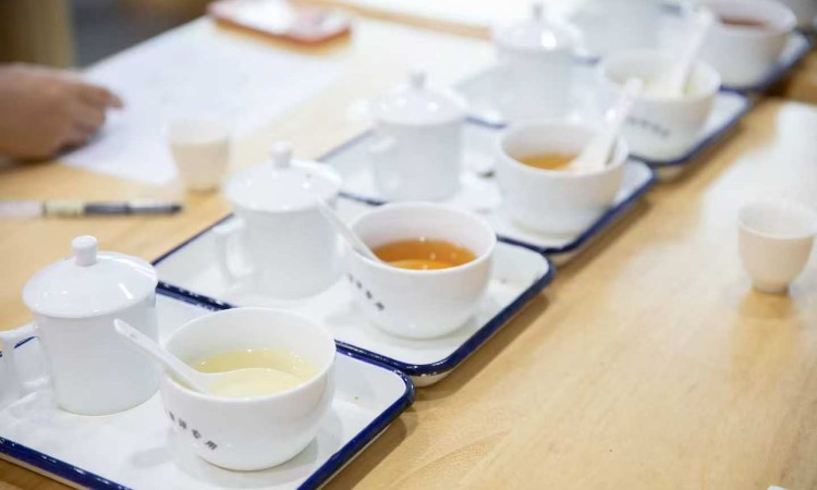 活动照片