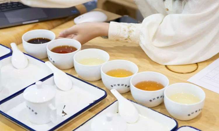 活动照片