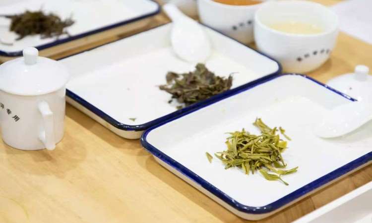 活动照片