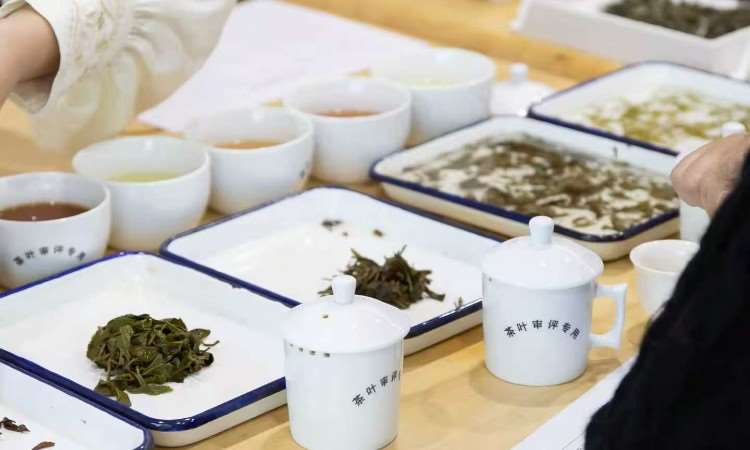 活动照片