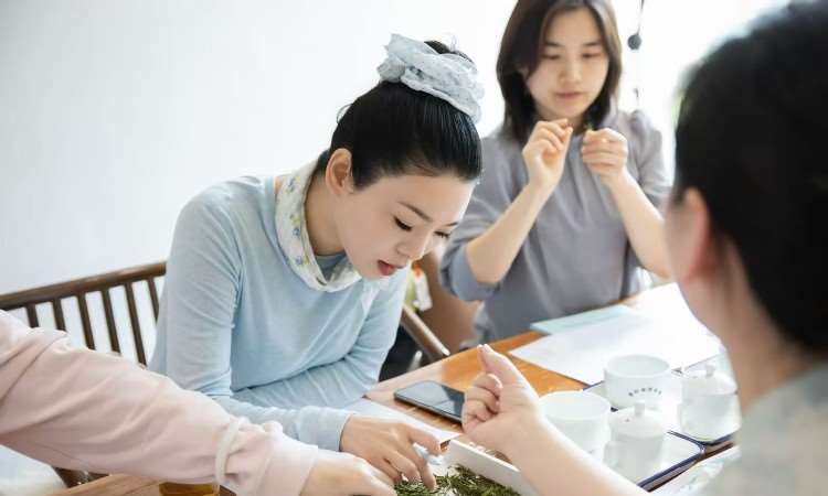 活动照片