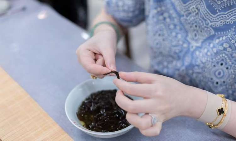 活动照片
