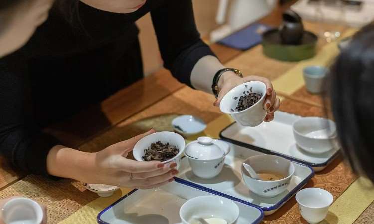 活动照片