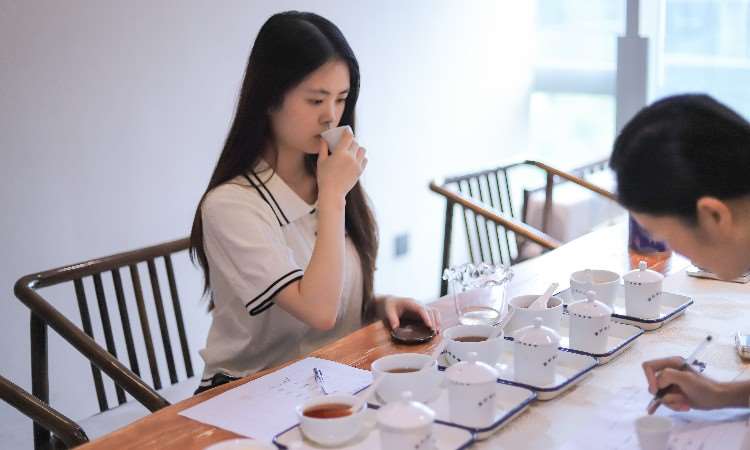 活动照片