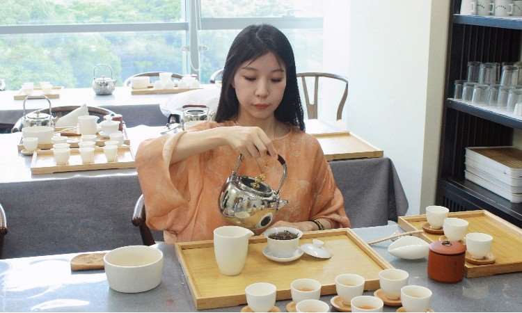活动照片
