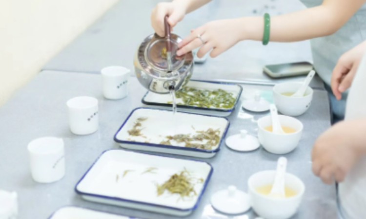 初中级评茶师培训固定班