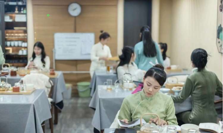 国家初级、中级茶艺师考证培训