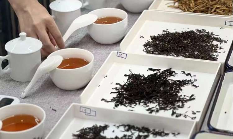 初级、中级评茶师考证培训