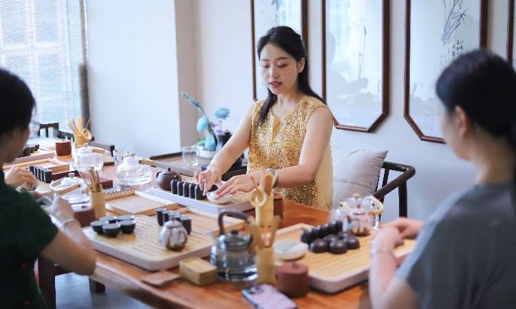  国家高级茶艺师考证培训（考前集中班）