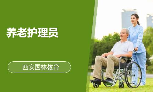 养老护理员