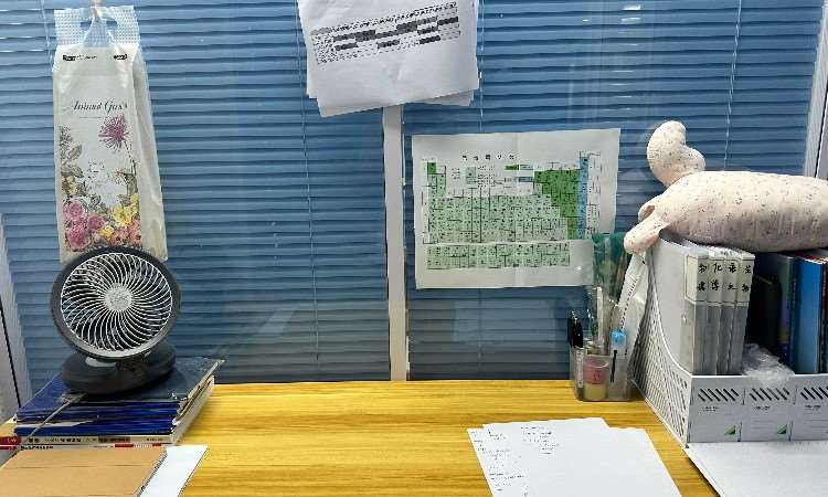 校区环境