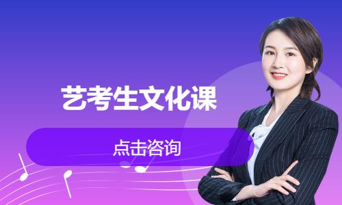  艺考文化课