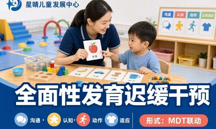 星晴多领域能力支持