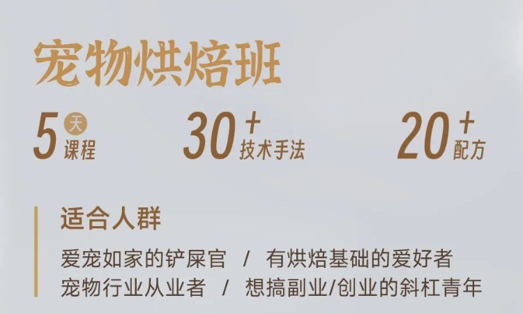 宠物烘焙班