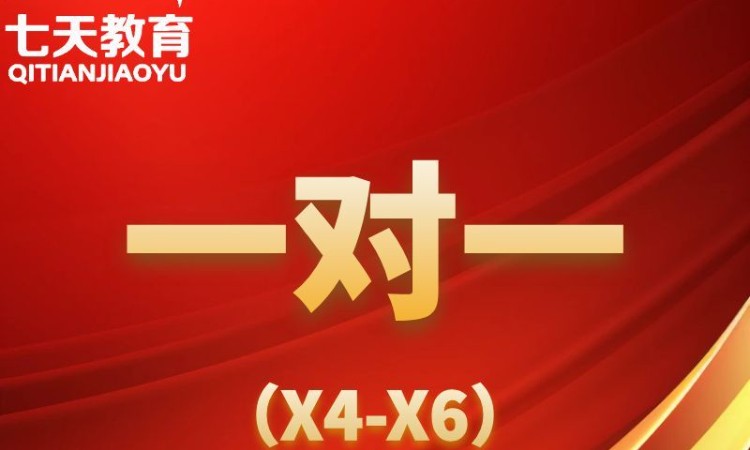X1-X6/一对一
