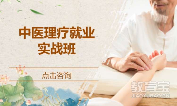 中医理疗就业实战班